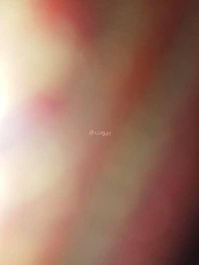 عقارات تجارية اخرى  للبيع في راس رمان، محافظة العاصمة - عقار تجاري للبيع في القضيبية، محافظة العاصمة