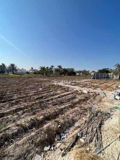 Residential Land for Sale in Arad, Muharraq Governorate - Studio Residential Land For Sale Arad, Muharraq Governorate Residential Land for Sale in Arad, Muharraq Governorate - Studio Residential Land For Sale Arad, Muharraq Governorate