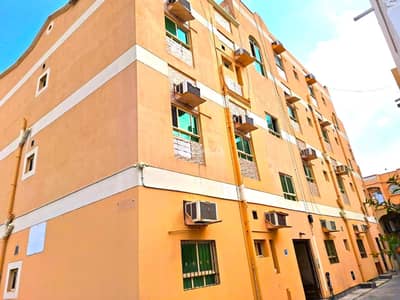 فلیٹ 2 غرفة نوم للايجار في الرفاع، المحافظة الجنوبية - EXCLUSIVE PRICE 2 BHK In West Riffa Near Macromart 150