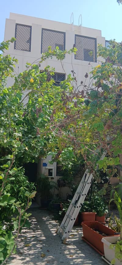 فیلا 3 غرف نوم للبيع في جزر امواج، محافظة المحرق - 3 غرف نوم فلل للبيع في جزيرة أمواج، محافظة المحرق